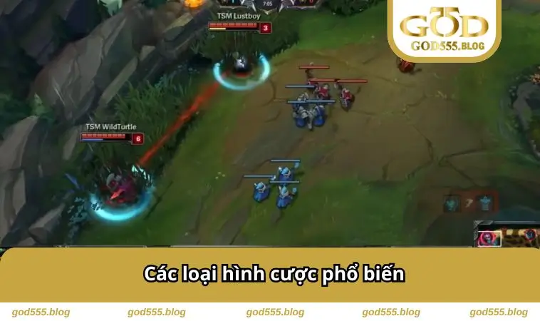 Các loại hình cược phổ biến