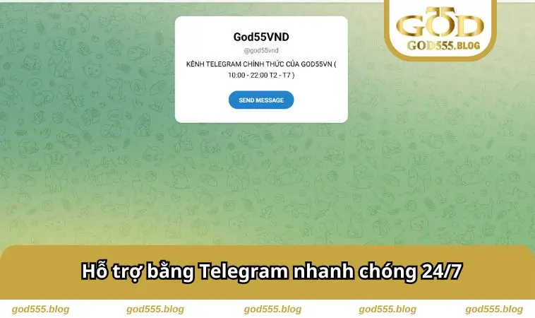 Hỗ trợ bằng Telegram nhanh chóng 24/7