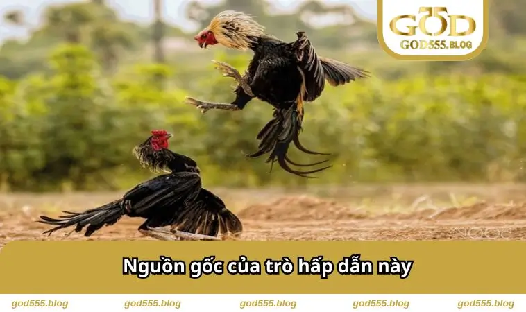 Nguồn gốc của trò hấp dẫn này