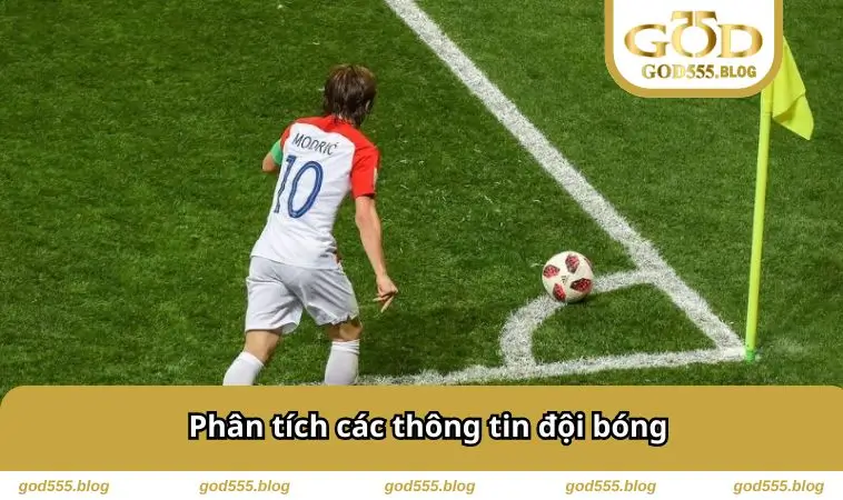 Phân tích thông tin đội bóng