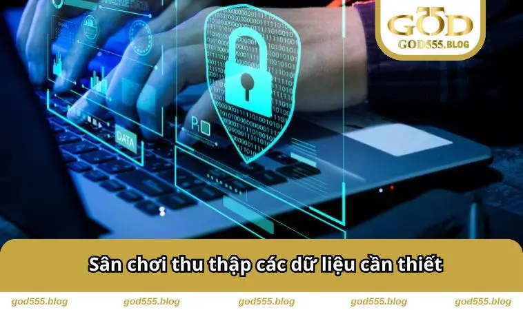 Sân chơi thu thập các dữ liệu cần thiết