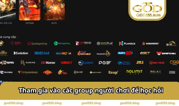 Tham gia vào các group người chơi để học hỏi